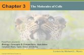 The Molecules of Cells Chapter 3 Concepts & Connections, Sixth Edition Campbell, Reece, Taylor, Simon, and Dickey Chapter 3 The Molecules of Cells Lecture by ... 3.4 Monosaccharides