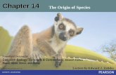Chapter 14 The Origin of Species Biology: Concepts & Connections, Seventh Edition Reece, Taylor, ... Chapter 14 The Origin of Species Many species of cormorants around the world can