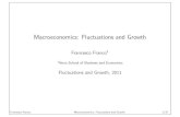 Macroeconomics: Fluctuations and Growthdocentes.fe.unl.pt/~frafra/Site/course__Fluctuations_and_Growth... · Macroeconomics: Fluctuations and Growth ... Macroeconomics studies the