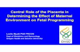 Central Role of the Placenta in Determining the Effect of ...ce.unthsc.edu/assets/1714/Central Role of the Placenta - Myatt.pdf · Obstructive Airway Disease ... Obesity during pregnancy