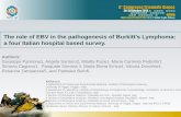 The role of EBV in the pathogenesis of Burkitt’s Lymphoma ... · The role of EBV in the pathogenesis of Burkitt’s Lymphoma: a four Italian hospital based survey. Authors: Giuseppe