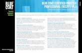 BLUE COAT CERTIFIED PROXYSG DATAST … · This document gives brief summaries of the modules in the Blue Coat Certified ProxySG Professional (BCCPP) course. ... Module 9: Basic ProxySG