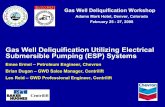 Gas Well Deliquification Utilizing Electrical Submersible ...€¦ · Gas Well Deliquification Utilizing Electrical Submersible Pumping (ESP) ... c a L n u r i ca E op e P N Z ...