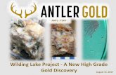 Wilding Lake Project - A New High Grade Gold Discoveryantlergold.com/files/corporate_presentation_20170831.pdf · Wilding Lake Project - A New High Grade Gold Discovery ... Alder