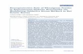 Neuroprotective Role of Wheatgrass Powder in … · Neuroprotective Role of Wheatgrass Powder in Experimental Diabetic Neuropathy ... Powder in Experimental Diabetic Neuropathy. ...