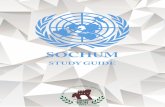 ÇANAKKALE TROY MODEL UNITED NATIONS 2017 - … · ÇANAKKALE TROY MODEL UNITED NATIONS 2017 1. ... Most esteemed delegates of SOCHUM, ... and I am currently in my 3rd year at …