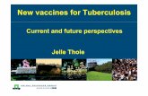New vaccines for Tuberculosis - moleculartb.org · New vaccines for Tuberculosis Current and future perspectives ... Project overview. ... w ith A g 8 5 B -E S A T 6 in D D A /T D