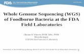 Whole Genome Sequencing (WGS) of Foodborne Bacteria …€¦ · Whole Genome Sequencing (WGS) of Foodborne Bacteria at the FDA ... Bacterial culture ... inferences about spread and