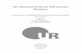 New Fluorescent Probes for ATP and other Phosphates ·  · 2012-06-12New Fluorescent Probes for ATP and other Phosphates ... so are the people who voluntarily offer their company,