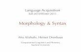 Morphology & Syntax - uni-saarland.de · Morphology & Syntax Afra Alishahi, Heiner Drenhaus Computational Linguistics and Phonetics Saarland University. ... Case Study: Learning English
