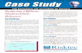 Safety and Risk Assessment Business Risk Management ... offshore hc releases.pdf · risk management and assessment for business ... ten offshore platforms and one onshore plant ...