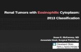 Renal Tumors with Eosinophilic Cytoplasm: 2013 Classification · Renal Tumors with Eosinophilic Cytoplasm: 2013 Classification. ... Mixed Sieve and Papillary. ... Renal Tumors with