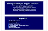 Sphenopalatine Artery Control Instructional Course - … Course ... – Sphenopalatine ... Endoscopic control of the sphenopalatine artery for epistaxis: long-term results. Abdelkader