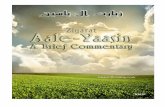 Ziyaarat Aale-Yaasin, A Brief Commentaryislamicmobility.com/files/pdf/pdf689.pdf · Finally, before starting to recite the Ziyaarat and its explanation, we go to our master, Imam