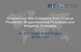 Greenhouse Gas Emissions from Tropical Peatlands ... · Greenhouse Gas Emissions from Tropical Peatlands: Biogeochemical Processes and Mitigation Strategies An ESI Seed Grant Project