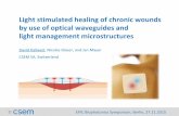 Light stimulated healing of chronic wounds by use of ... · Light stimulated healing of chronic wounds by use of optical waveguides and light management microstructures David Kallweit,