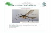 Aedes (Ochlerotatus) n. s. - SMSL keys to larval and adult female mosquitoes (Diptera: Culicidae) of New Zealand. New Zealand Journal of Zoology 32:99-110 !!!!! Version 1: 25 August