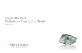 LIQHOBONG Definitive Feasibility Study - Firestone … · LIQHOBONG Definitive Feasibility Study ... Per tonne life of mine economics assuming current life of mine ... information
