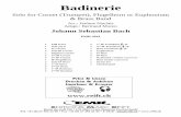 EMR 3641 Badinerie BB - alle-noten.de Solo for Cornet (Trumpet), Flugelhorn or Euphonium ... Keyboard / Guitar (optional) Bass Guitar (optional) Drum Set Glockenspiel Print Listen