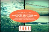 WOOD PELLET MANUFACTURING: RISKS FOR THE ECONOMY … · WOOD PELLET MANUFACTURING: RISKS FOR THE ECONOMY OF THE US SOUTH An issue brief from Dogwood Alliance Prepared by …