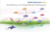 Inhibitors of Signaling Pathways - Selleckchem.comfile.selleckchem.com/img_test/Inhibitors-of-Signaling-Pathways.pdf · PI3K 1 2 HDAC PI3K Inhibitors Cat.No. Product Name Type Information