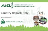 Country Report: Italy - Pellet Fuels Institute Report: Italy Williamsburg VA, July 21, ... wood pellet demand is ... pellet systems in a context of energy efficiency and reduction
