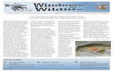 A PUBLICATION OF THE IDAHO WATCHABLE … PUBLICATION OF THE IDAHO WATCHABLE WILDLIFE COMMITTEE AND IDAHO’S CONSERVATION SCIENCES PROGRAM ... adult fish make their way ... Paint pictures