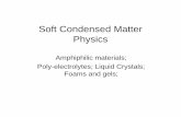 Soft Condensed Matter Physics - Linköping University Matter Lecture 11.pdf · Smectic (soap) Types of molecules ... molecule section. Mesogen : ... Arrangement of large organic ions