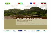 REDD+ FOR THE GUIANA SHIELD - WordPress.com · Dealing with shifting cultivation in forest monitoring. Agenda The meeting followed the Agenda below: ... The use of optical data has