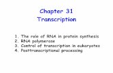 Voet Chapter 31 - unifr.ch · Chapter 31 Transcription 1. The role of RNA in protein synthesis 2. ... Incorporation of radiolabelled amino acids ... Promoter element that act in both