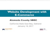 Website Development with E-CommerceeCom... · Website Development with E-Commerce ... – Performed dozens of Website Audits: identifying website usability, ... • A Status Bar to