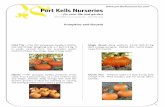 Pumpkins and Gourds - Port Kells Nurseriesportkellsnurseries.com/wp-content/uploads/Pumpkins.pdf · Pumpkins and Gourds ... displays, and have a great flavour. ... Non-edible. Specked