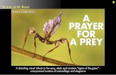 PRAYING MANTISES A PRAYER A PREY - entomoresin.com · Praying mantids (or, rather more cor- ... A portrait of a southern African tree mantis, S. pretiosa. Photo by Piotr Naskrecki