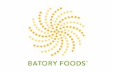INGREDIENTS - Batory Foods · It all began with sugar—Batory Foods’ primary ingredient when we were founded in 1979. Although we’re still known for our impressive selection