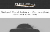 Spinal cord injury - storage.googleapis.com · 747 JRRD Volume 51, Number 5, 2014 Pages 747–760 Feasibility of closed-loop controller for righting seated posture after spinal cord