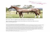 Dream Thoroughbreds Khaptrina Syndicate Unnamed … Thoroughbreds Khaptrina Syndicate Yearling Chestnut/Grey Colt By Mossman out of Khaptrina Page 7 of 12 Stayer ahead of stablemate