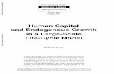Human Capital and Endogenous Growth in a Large-Scale … · Human Capital and Endogenous Growth in a Large-Scale Life-Cycle Model Patricio Arrau Life-cycle models of growth can yield