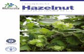 Descriptors for Hazelnut - Bioversity International · ii Hazelnut Bioversity International is an independent international scientific organization that seeks to improve the well-being