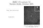 BMB 170 Lecture 10 Nucleic Acids, October 26thsaf.bio.caltech.edu/bi170/BMB170_2017_LECTURE10.pdfBMB 170 Lecture 10 Nucleic Acids, October 26th ... (Caltech!) • First structure ...