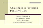 Challenges in Providing Palliative Care - Stratis Health€¦ ·  · 2014-07-17Challenges in Providing Palliative Care Virginia Bender RN ... Emergency/continuous care in the home