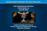 Bioabsorbable Scaffolds: The Next Holy Grail? · Device Study Drug Lesions n Outcome ... everolimus drug-eluting vascular scaffold for treatment of de novo coronary artery ... After