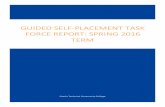 Guided Self-Placement Task Force Report: Spring 2016 …academics.otc.edu/media/uploads/sites/2/2016/07/Guided-Self... · GUIDED SELF-PLACEMENT TASK FORCE REPORT: ... MTH-110 MTH-128