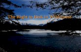 The Right to Risk in Wilderness - College of Agriculture …gimblett/Wilderness and...The Right to Risk in Wilderness •Agencies are responsible for managing wilderness providing