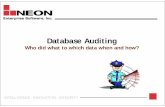 Database Auditing Essentials (new prez)-lg - OOWidgets Auditing Essentials.pdf · Database Auditing In a world replete with regulations and threats, ... Dual usage of data could cause