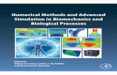 Numerical Methods and Advanced Simulation in …pontrell/pub/CERROLAZA_chapter20.pdfNumerical Methods and Advanced Simulation in Biomechanics and Biological Processes Edited by Miguel