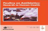 Poultry on Antibiotics - IATP · Ours is also the first study to test for drug resistance ... The widespread resistance of bacteria in poultry ... and poultry producers using no antibiotics,