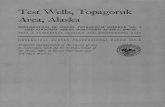Test Wells, Topagoruk Area, Alaska - USGS Wells, Topagoruk Area, Alaska By FLORENCE RUCKER CO^LINS With Micropaleontologic Study of the Topagoruk Test Wells, Northern Alaska By HARLAN