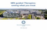 MRI guided Therapies: seeing what you treat · anatomy and temperature mapping position and power control TRANSDUCER PC thermo-therapy MRI with HIFU MRI guided High Intensity Focused