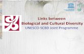 Links between Biological and Cultural Diversity - CBD needs a holistic approach recognizing the links between biological and cultural ... between biological and cultural diversity