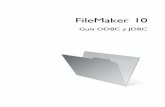 FileMaker 10€¦ ·  · 2010-05-19Introducción al acceso a un archivo de base de datos de FileMaker 16 ... Prioridad de operadores 43 ... Conectividad abierta de bases de datos)